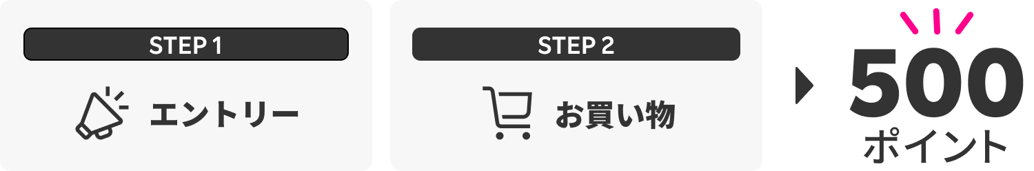 STEP1 エントリー STEP2 お買い物 500ポイント