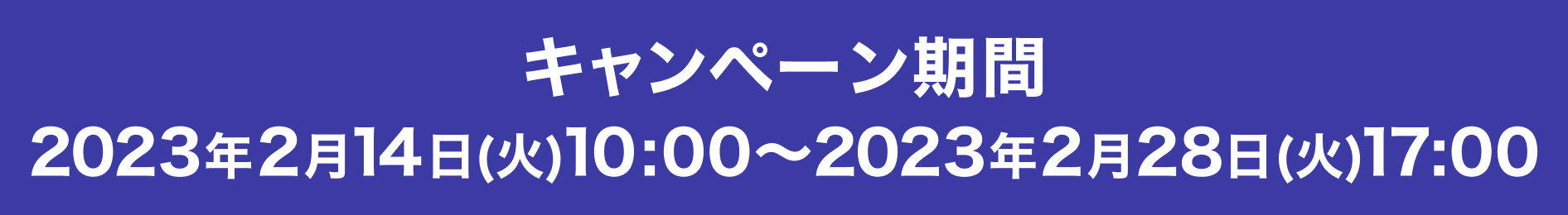キャンペーン期間 2023年02月14日(火) 10:00~2023年02月28日(火) 17:00<