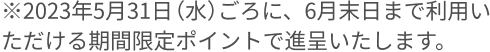 ※2023年5月31日（水）ごろに、6月末日まで利用いただける期間限定ポイントで進呈いたします。