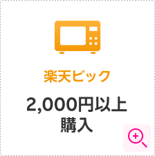 楽天ビック 条件詳細モーダルを開く